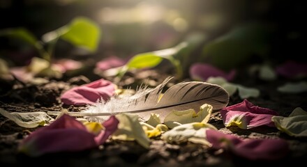 A close-up shot of a delicate feather resting on the ground amidst scattered flower petals in a natural outdoor setting during daylight hours