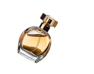  Lush houseplant leaves close  transparent background png 