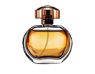  Lush houseplant leaves close  transparent background png