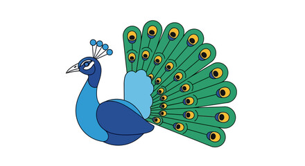 Elegant peacock illustration with bright plumage and stylized feather patterns on a white background