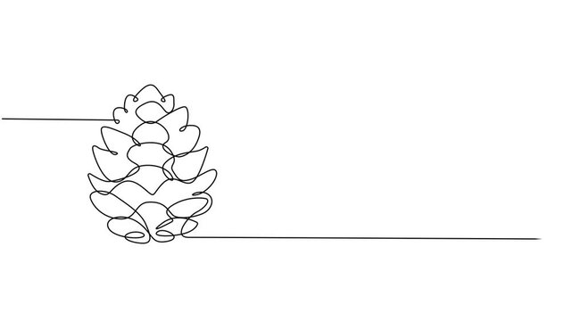 Abstract cedar cone. Self drawing animation one continuous line draw, logo, A single line drawing of a cone. Continuous line fir cone icon. Vector illustration, Full length one line animation. minimal