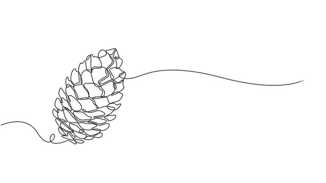 Abstract cedar cone. Self drawing animation one continuous line draw, logo, A single line drawing of a cone. Continuous line fir cone icon. Vector illustration, Full length one line animation. minimal