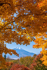 忍野村二十曲峠から紅葉に彩られた富士山