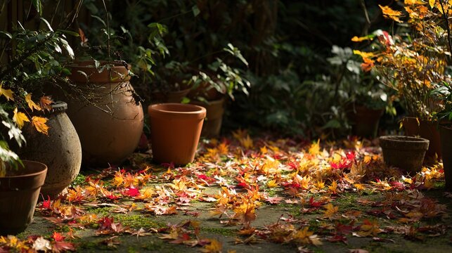 Autumn leaves and terracotta pots, sunlit garden scene, outdoor nature setting, copy space