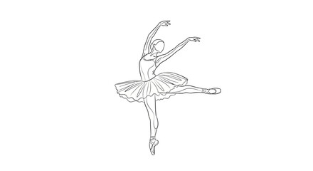 Adobe Illustrator Artwork © Avis