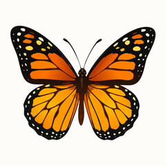 Fototapeta premium Monarch Butterfly Illustration Isolated on White Background