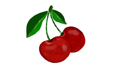 Cherry Pair Illustration