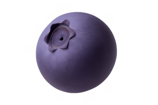 Blueberry showing its vibrant purple color and textured crown. Isolated fruit representing health, well-being, and fresh eating