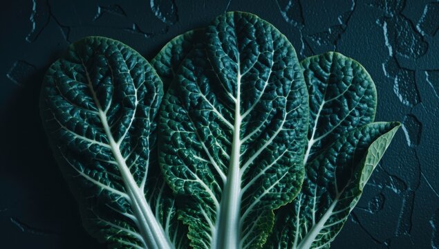 Close up of three fresh green bok choy leaves on a dark textured background