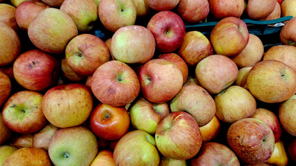 red apples 빨간색 사과 