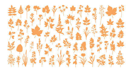 An extensive collection of botanical silhouettes that highlight floral elements. It consists of branches, leaves, herbs, flowers, and wild plants.