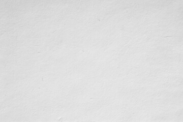 Paper wallpaper with skin texture