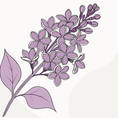 Lilac Flower Cluster