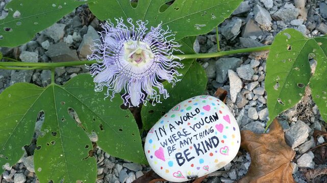 Be kind kindness rock with ant crawling and passion flower - Powered by Adobe