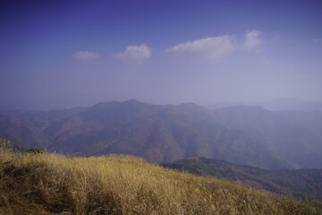 민둥산 억새 축제