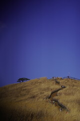 민둥산 억새 축제