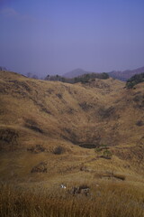 민둥산 억새 축제