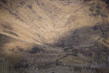 민둥산 억새 축제