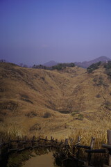 민둥산 억새 축제