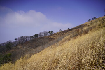 민둥산 억새 축제
