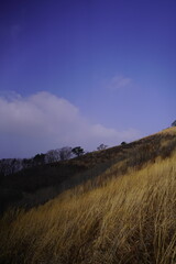 민둥산 억새 축제