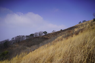 민둥산 억새 축제