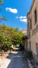Narrow Alleyway with Building and Lush Greenery Under Blue Sky.