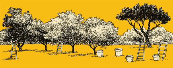 A yellow background with trees and ladders. The trees are in a field and the ladders are scattered around them