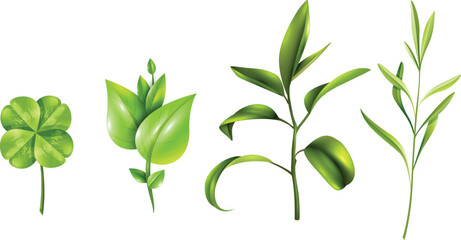 A collection of four distinct green plant sprigs, including a lucky four-leaf clover, isolated on a white background.