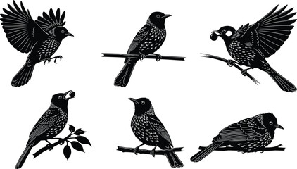 Elegant black songbird silhouettes perched and flying on branches, detailed nature vector illustration set, perfect for wildlife designs, decorative artwork, branding, and creative projects