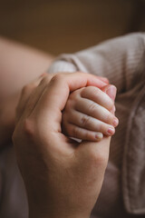 A mother sits in a wooden chair, gently breastfeeding her baby in a warm and softly lit room. Sunlight filters through the curtains, creating a peaceful atmosphere.