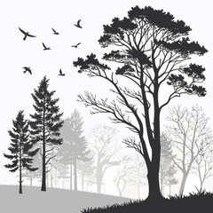 Obraz premium Silhouette of a forest with pine trees and deciduous trees on a hill, with birds flying in the sky, creating a peaceful and serene landscape isolated on