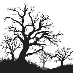 Silhouette of bare trees on a hill against a, creating a stark and graphic image the trees are silhouetted against the