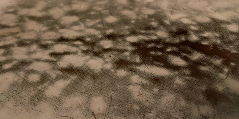 Vintage and antique background frame art concept. Front view of blank old aged dirty photo paper texture with stains and scratches. Detailed closeup studio shot