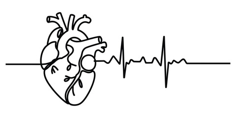 Human heart and ecg line art, continuous trace of life concept
