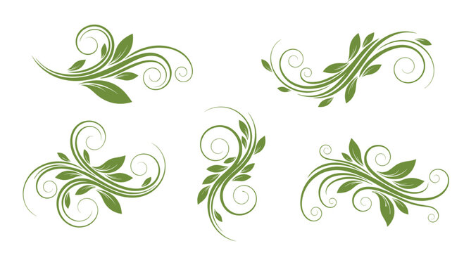 Green leafy floral swirls and decorative ornaments for design purposes.
