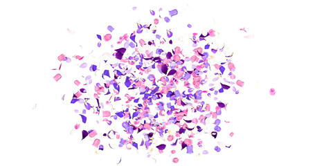 Fototapeta premium Purple flower petals sway in the wind. Colorful several flowers. Isolated on alpha background. 3D rendering.