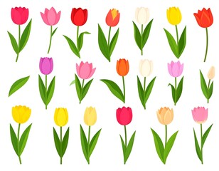 Obraz premium Assortment of vibrant, stylized tulips in various colors, showcasing a spring aesthetic