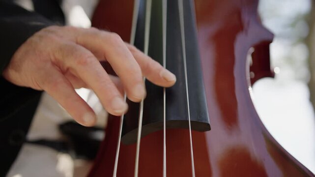 Jazz musician performs soulful double bass melodies outdoors in sunlight