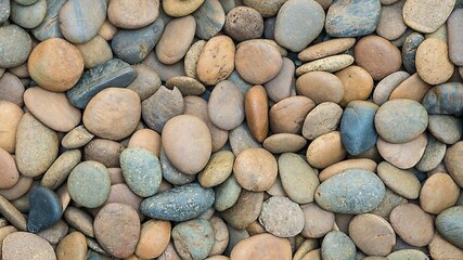 A high-angle shot of a collection of smooth, rounded pebbles in various shades of brown, beige, and gray.