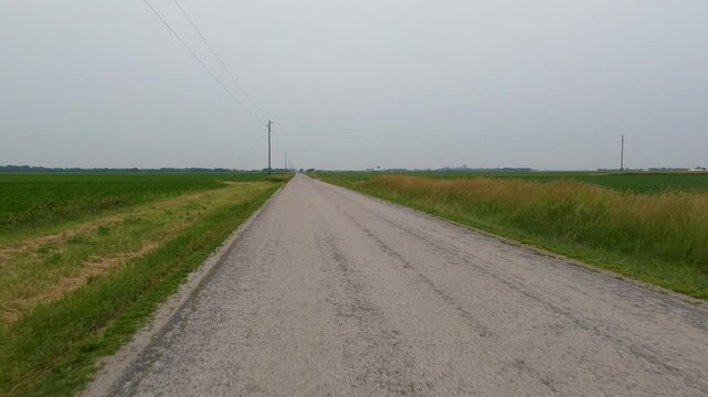 Car point of view driving down an empty country road surrounded by agricultural fields. Summer scene with lush green plants. Located in rural Illinois in the Midwest, USA.