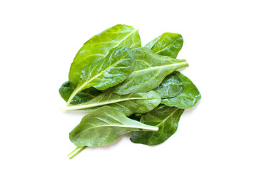 Baby Green Swiss Chard leaves