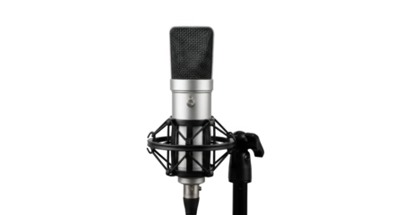 Professional Studio Condenser Microphone on Stand.