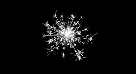 Fototapeta premium Sparkler Firework Bright White Sparkling Explosion on Black Background for Celebration and Festive Events