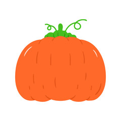 Orange Pumpkin Hand-Drawn Illustration Clipart for Halloween & Fall