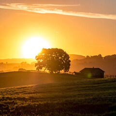 Scenic golden sunrise illuminating a field, tree, and cabin silhouette
