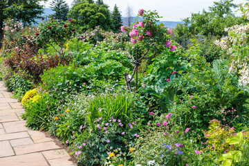 Scenery where various kinds of wildflowers are in full bloom.
