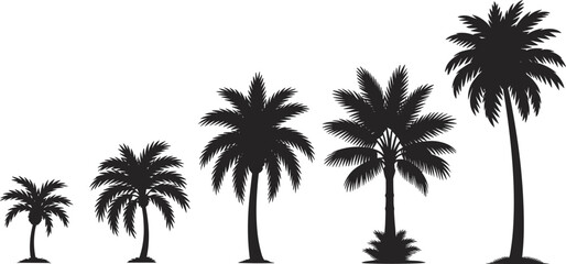 Silhouetted palm trees in different growth stages, displaying tropical foliage, beach landscape elements, exotic nature shapes