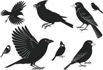 Songbird and Cardinal Silhouettes – Flying, Perching, Standing Poses, Feather Detail, Ornithology Icons, Wildlife Illustration, Bird Behavior Vector Set