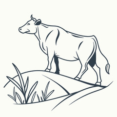 Fototapeta premium white cow in the field
